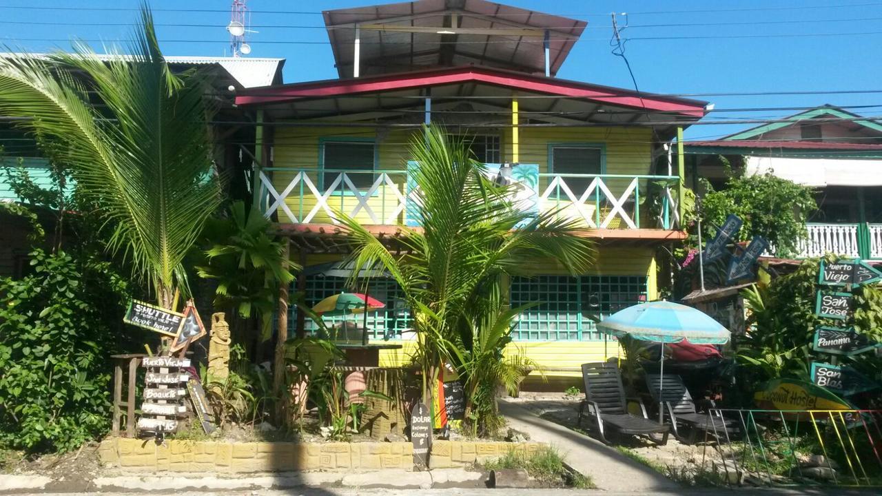 Coconut Hostel Bocas Town Екстер'єр фото