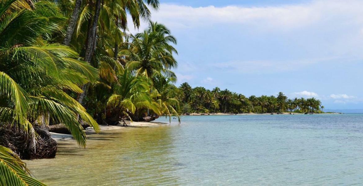 Coconut Hostel Bocas Town Екстер'єр фото