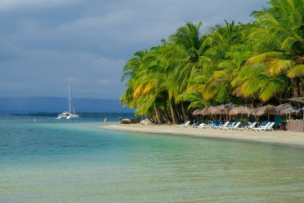 Coconut Hostel Bocas Town Екстер'єр фото
